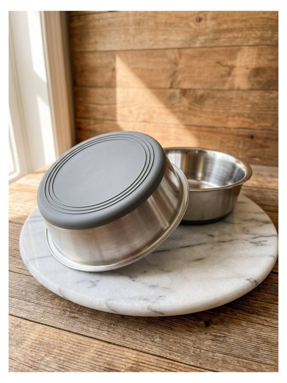 Stainless Steel Dog Bowls Nonslip 2 Pack 3.8 Cup Food Water Dish